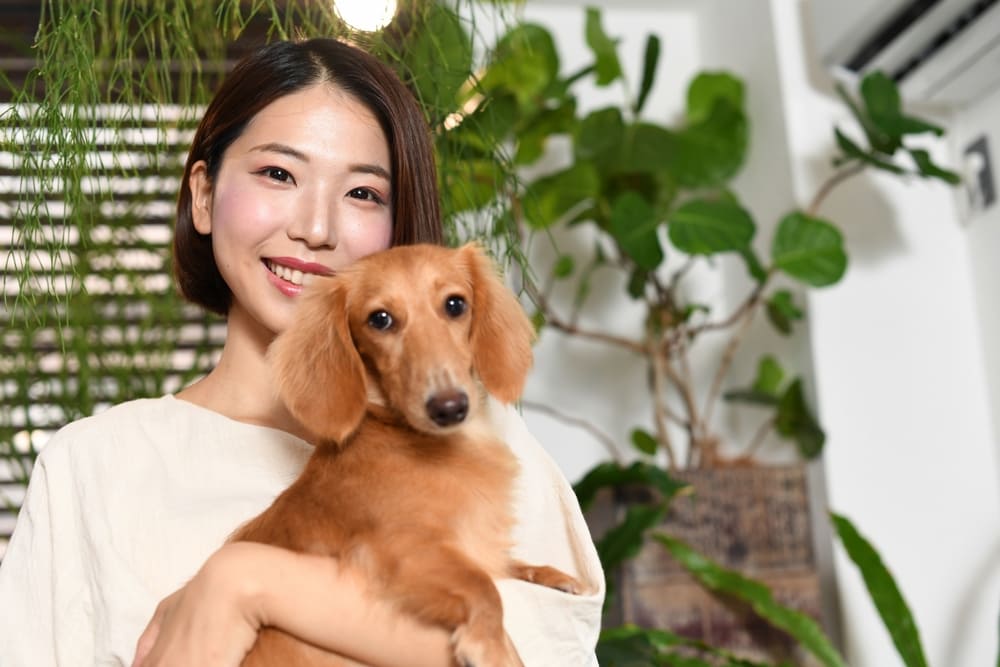 ペットの犬（ダックスフンド）と若い女性